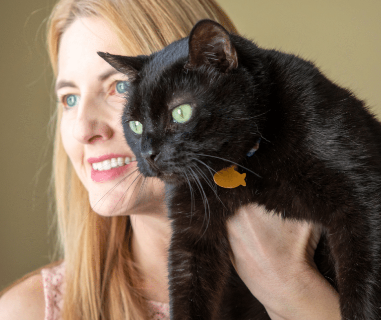 How to Bond With Your Pet Cat