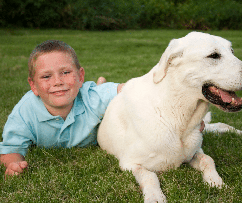 why-family-pets-are-good-for-kids