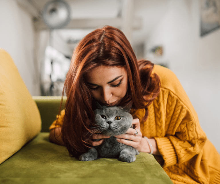 Does my Cat Know That Kisses on the Forehead are a Sign of Affection