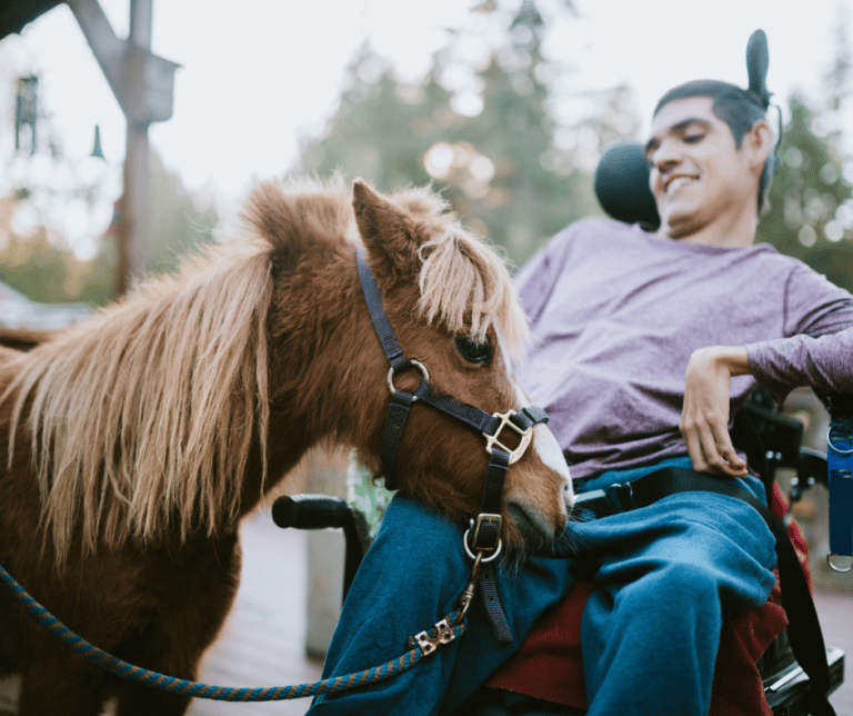 The Reason Horses Make Good Therapy Animals